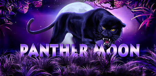 รีวิวเกมสล็อต Panther Moon